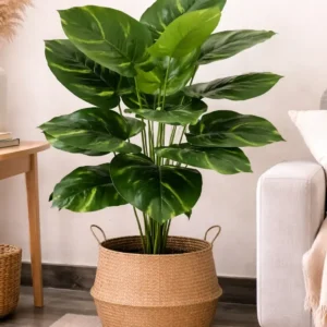 Artificial plant kaykon