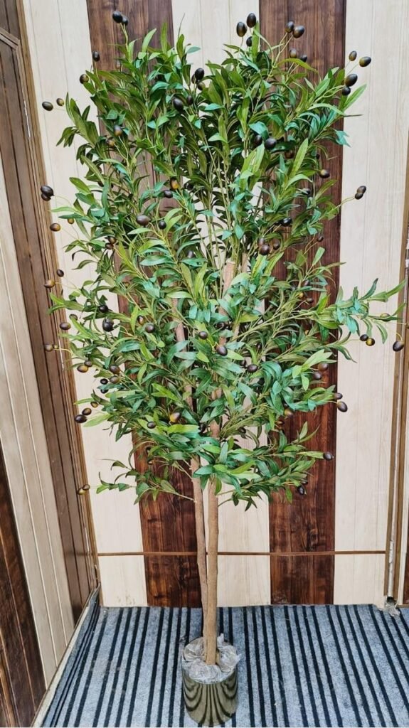 KAYKON 6 Feet Imported Artificial Olive Plant With Real Wooden Trunk Without Vase –Premium Collection
