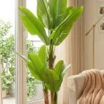 KAYKON 6 Feet Artificial Banana Tree with 3 Trunks & 12 Premium Leaves | Luxury Collection Imported Realistic Fake Plant | Decorative Plant (Vase Not Included)