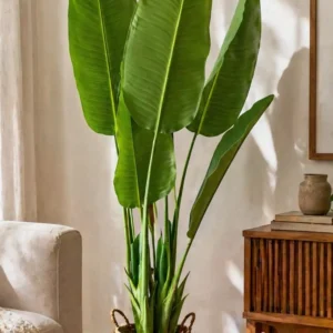 artificial banana tree