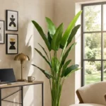 KAYKON 6 Feet Artificial Banana Tree with 3 Trunks & 16 Premium Leaves | Realistic Fake Plant for Home, Office, Living Room Décor | Indoor Decorative Plant (Vase Not Included)