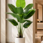 KAYKON 4 Feet Artificial Bird of Paradise Plant with Pot | Real Looking Faux Indoor Tree | Premium Decorative Floor Plant