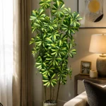 KAYKON 6 Ft Artificial Cheeku Tree | 70 Realistic Leaves | 4 Natural-Look Stems Without Vase| Premium Faux Indoor Plant for Living Room, Office, Hotel & Home Décor