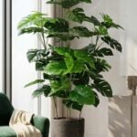 KAYKON 6 Feet Artificial Monstera Plant 4 Stems 70 Leaves Real Looking Big Artificial Plant Without Vase for Home Decor Hotel Decor Luxury Collection Large Indoor Faux Plant 180 cm