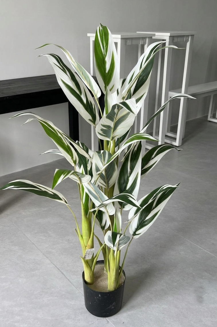 KAYKON 6 Feet Artificial Money Plant Tree Home & Office Décor | Realistic 24 White and Green Leaves with 3 Natural-Look Trunks | Indoor Decorative Faux Tree - Image 3