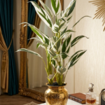 KAYKON 6 Feet Artificial Money Plant Tree Home & Office Décor | Realistic 24 White and Green Leaves with 3 Natural-Look Trunks | Indoor Decorative Faux Tree