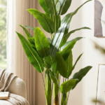 KAYKON 6 Feet Artificial Money Plant  Tree Home & Office Décor | Realistic 24 Green Leaves with 3 Natural-Look Trunks | Indoor Decorative Faux Tree