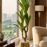KAYKON 6 Feet Artificial Dracaena Plant for Home & Office Décor | Realistic Green Leaves with Natural-Look Trunk | Indoor Decorative Faux Tree | Maintenance Free, Non-Toxic & Pet Friendly