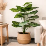 KAYKON Artificial Plant Palm Tree Money Plant Bunch with 18 Leaves Stems, 24 Inch Faux Floor Plants for Home Porch, Garden, Office, Store Decor Without Vase (Yellow)