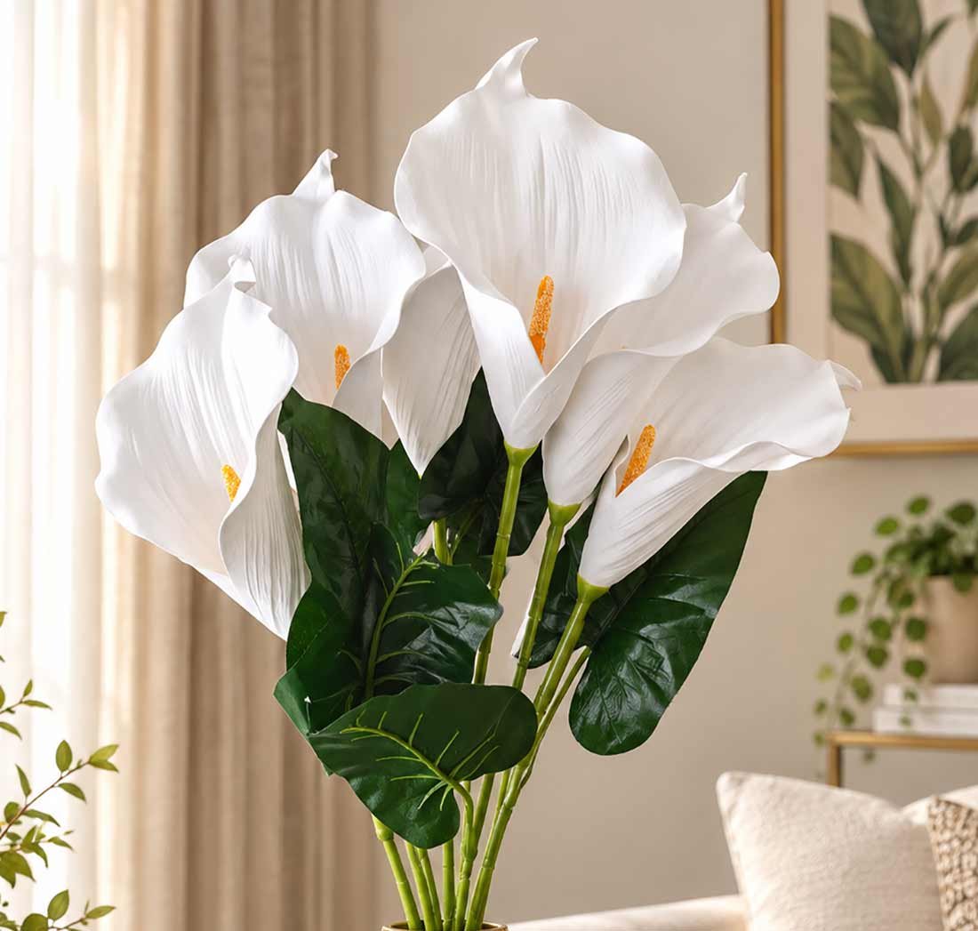 White-lily-flower1