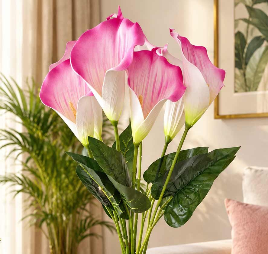 pink-lily-flower1