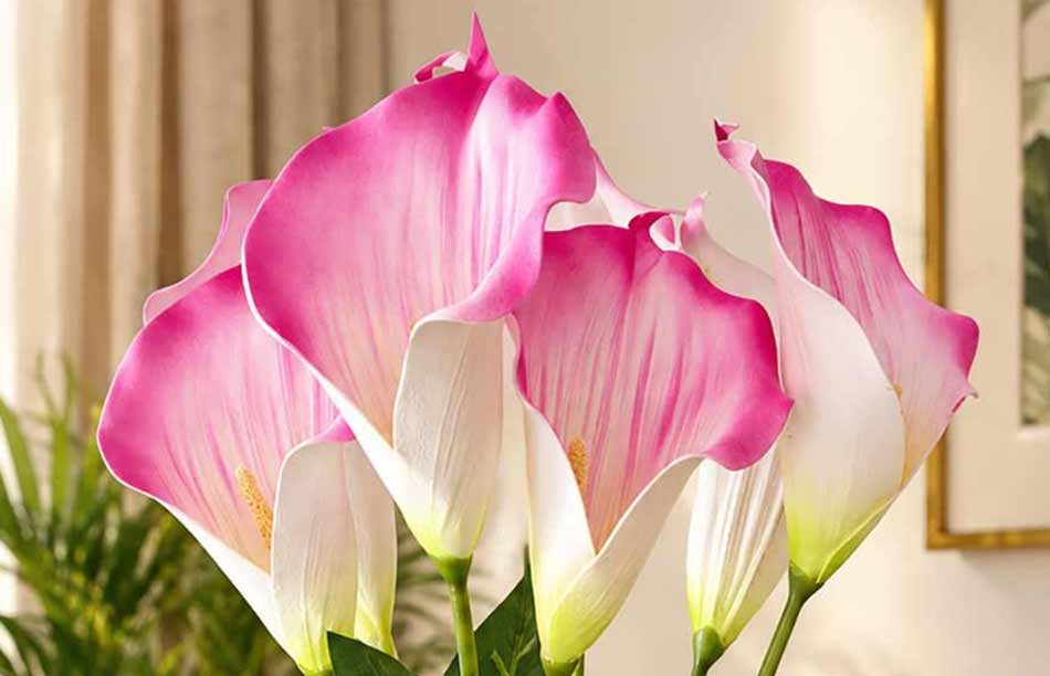 KAYKON 7 Flowers Real Touch Artificial Calla Lily Flower Bouquet Without Vase, Imported Pink Lily Stems with Green Leaves, Realistic Decorative Flowers for Home, Living Room, Bedroom, Office, Wedding & Table Decor - Image 3
